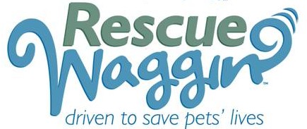 Click on logo 